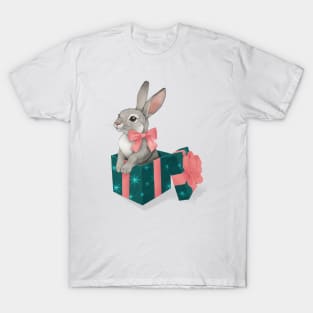 The Velveteen Rabbit T-Shirt